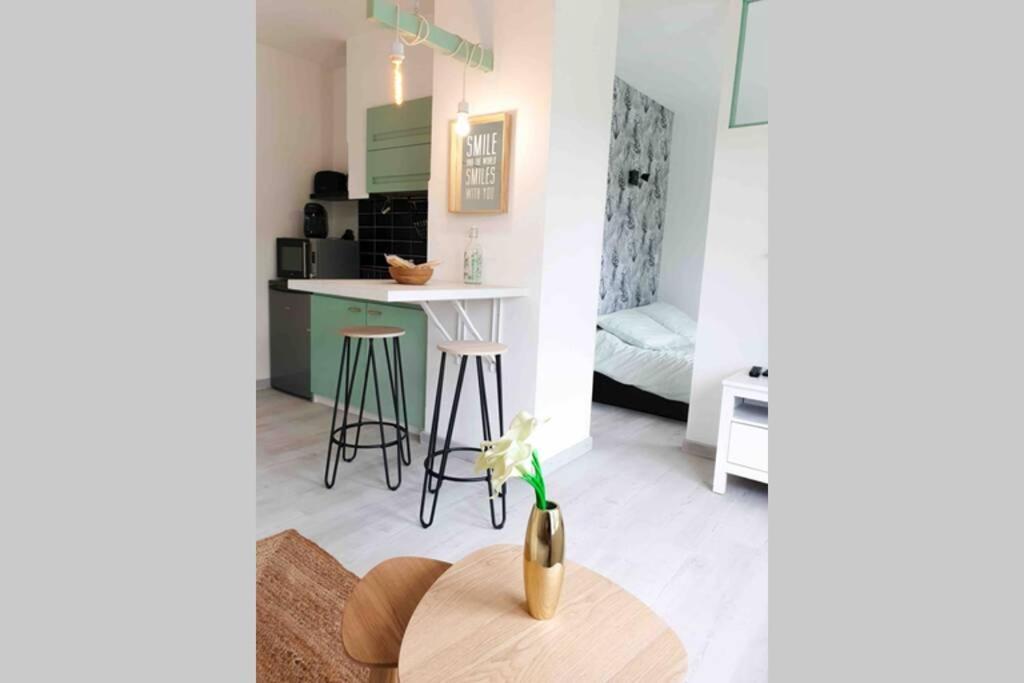 Charmant Appartement Avec Vue Sur Les Montagnes Annecy Dış mekan fotoğraf